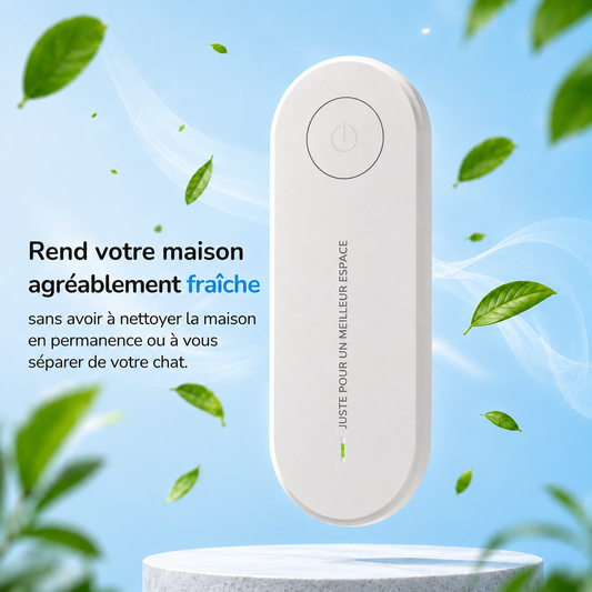 Airpurr purificateur d'air